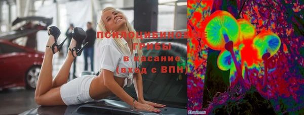 твердый Абаза