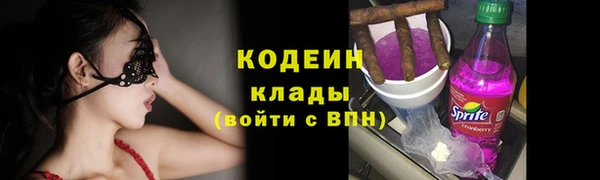 твердый Абаза