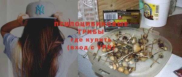 твердый Абаза